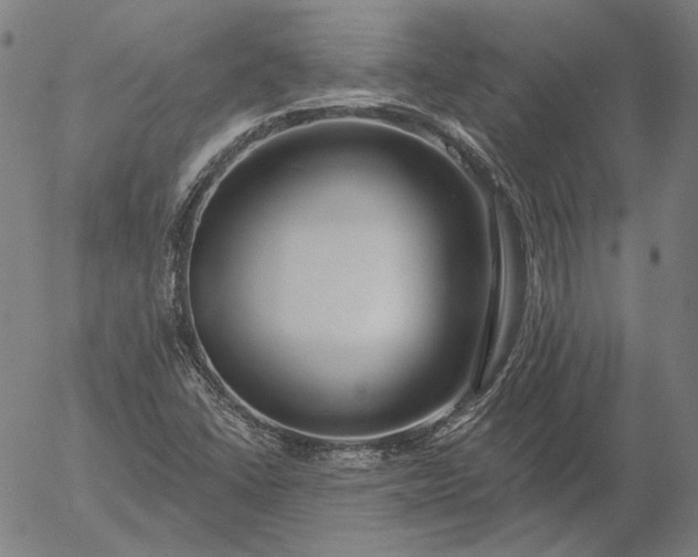 X0000055991406200509021626