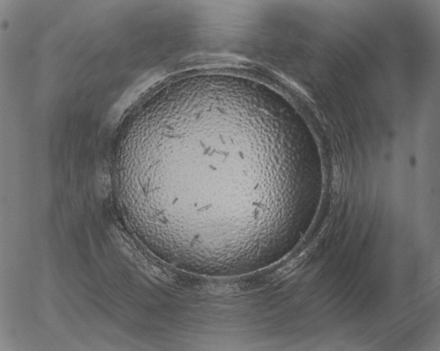 X0000055991407200509021626