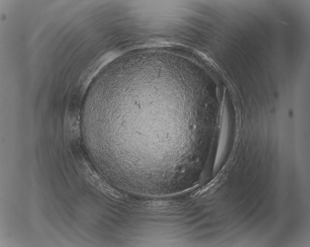 X0000055991409200509021626