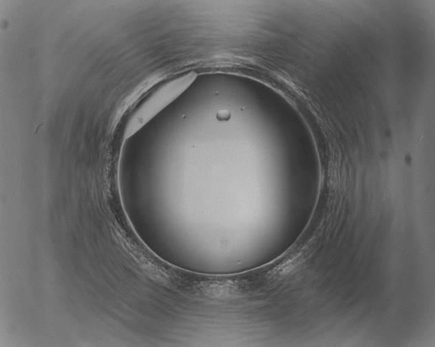 X0000055991410200509021626