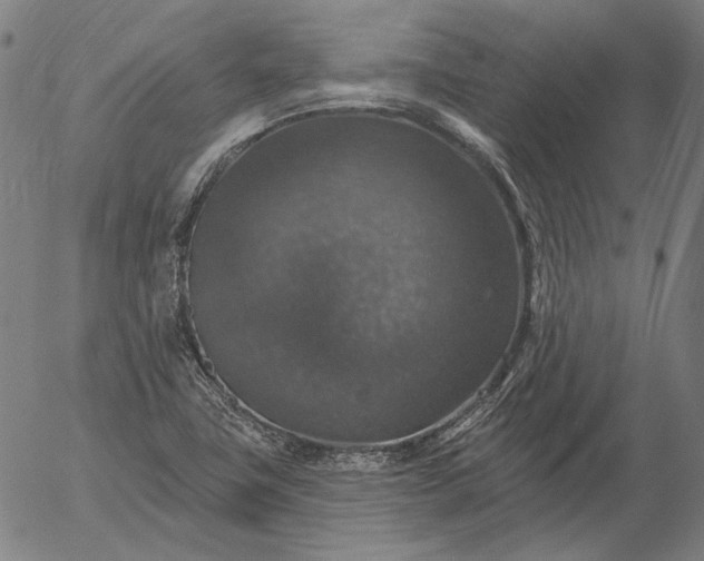 X0000055991411200509021626