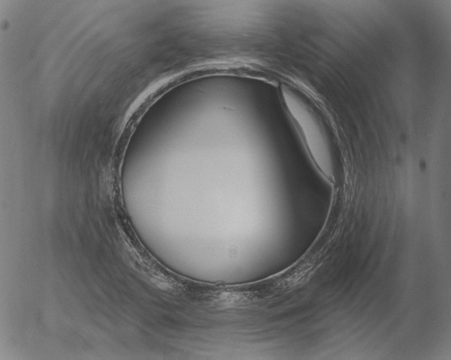 X0000055991412200509021626