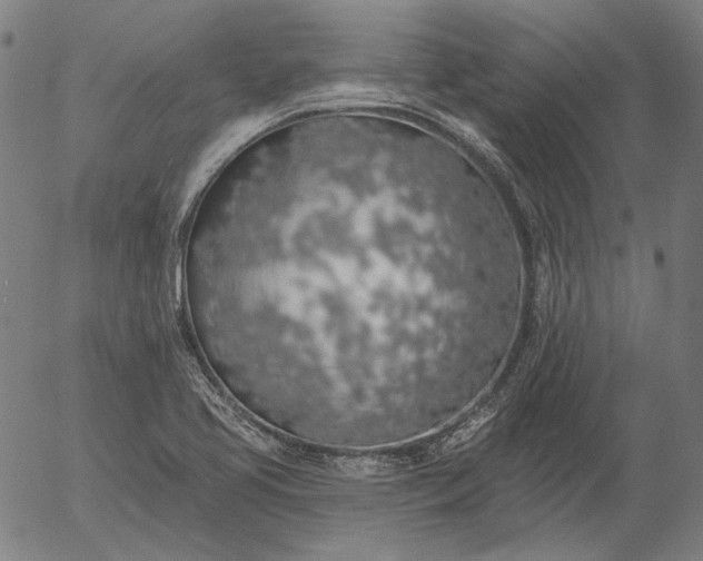 X0000055991413200509021626