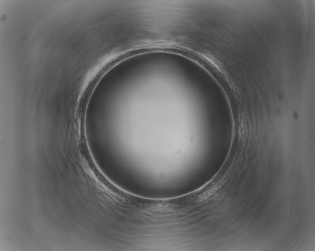 X0000055991414200509021626