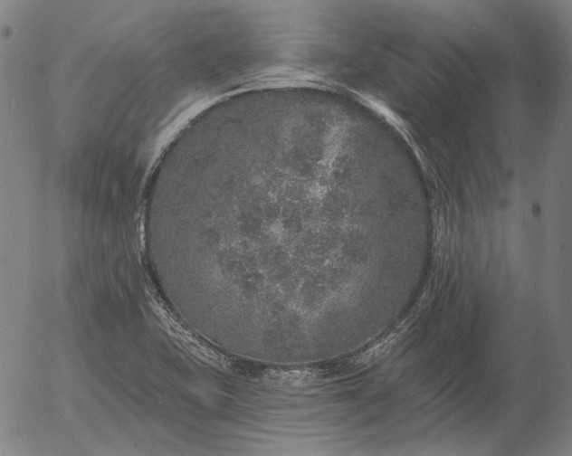 X0000055991415200509021626