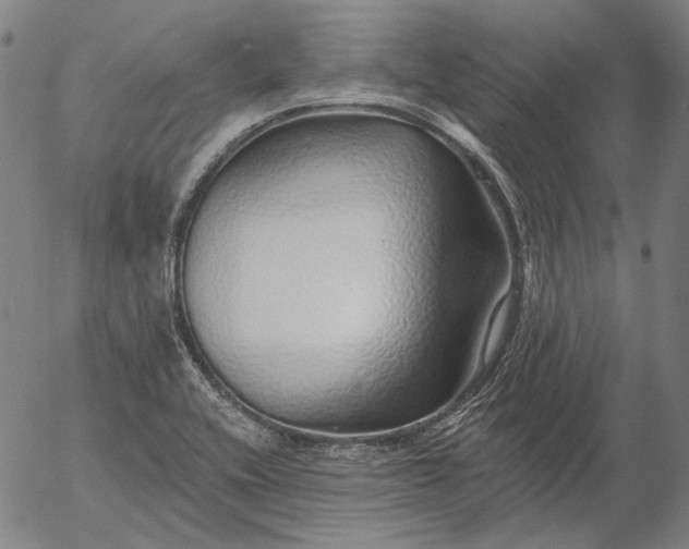 X0000055991416200509021626