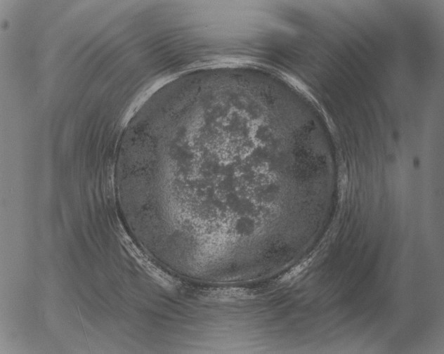 X0000055991417200509021626