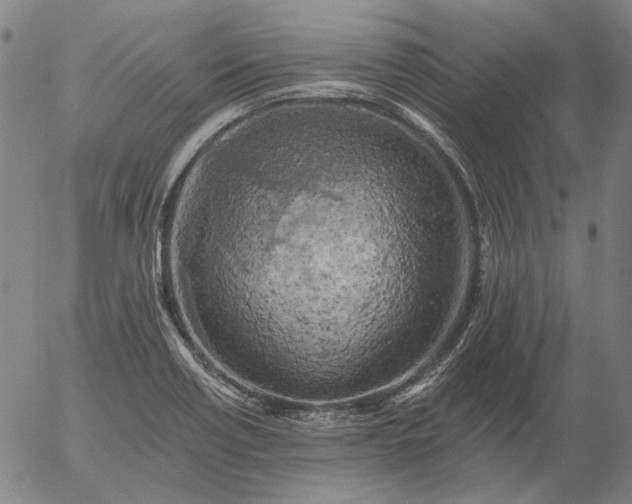 X0000055991418200509021626