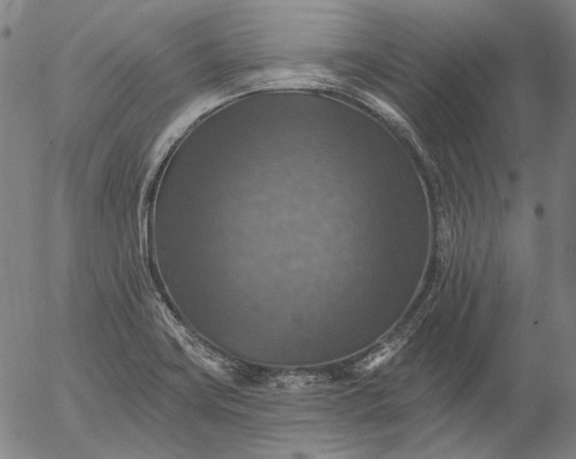 X0000055991419200509021626