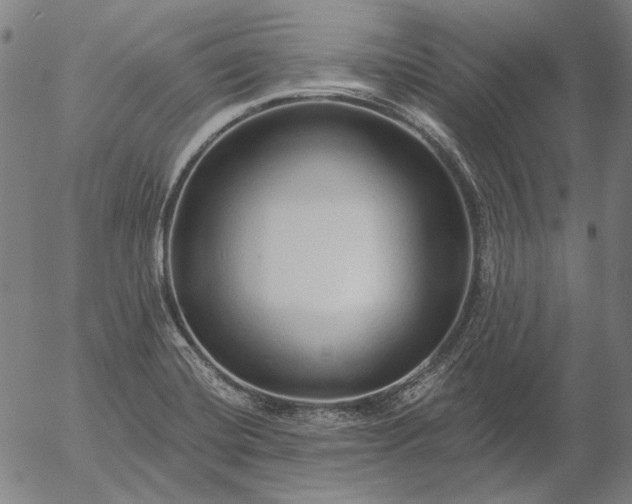 X0000055991420200509021627