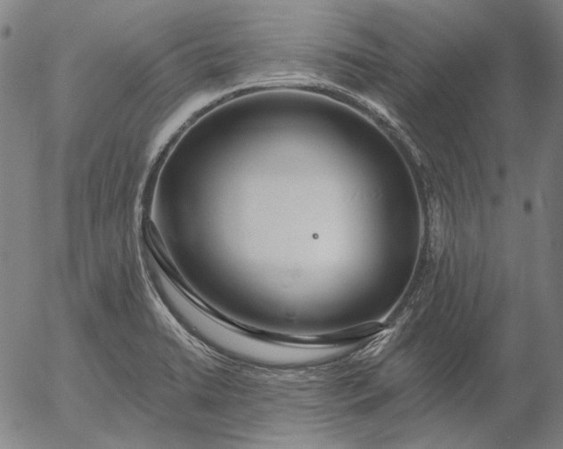 X0000055991422200509021627