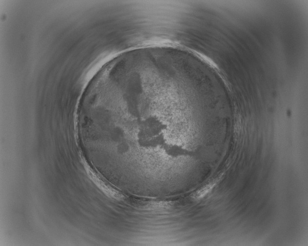 X0000055991423200509021627