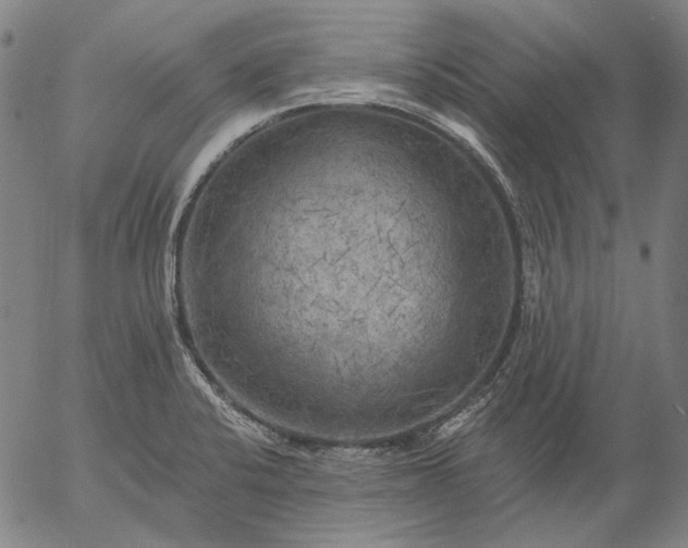 X0000055991424200509021627