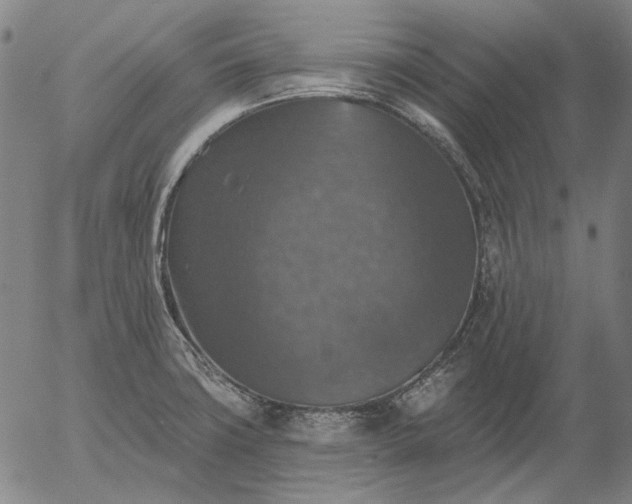 X0000055991427200509021627