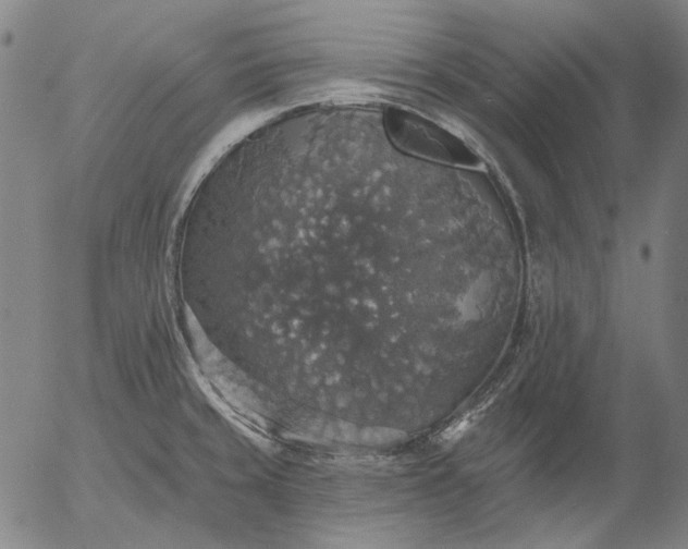 X0000055991429200509021627