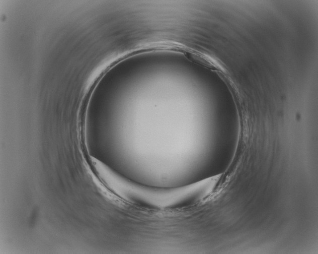 X0000055991430200509021627