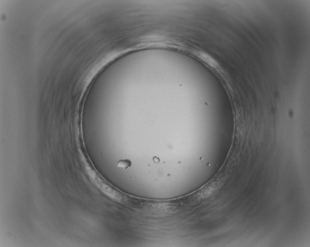 X0000055991431200509021627