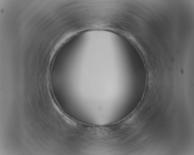 X0000055991432200509021627