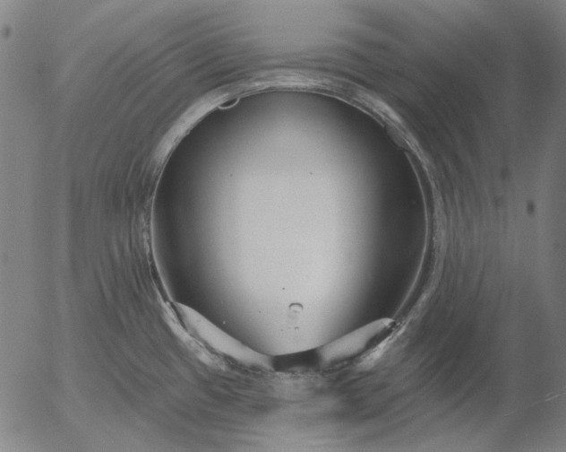 X0000055991433200509021627