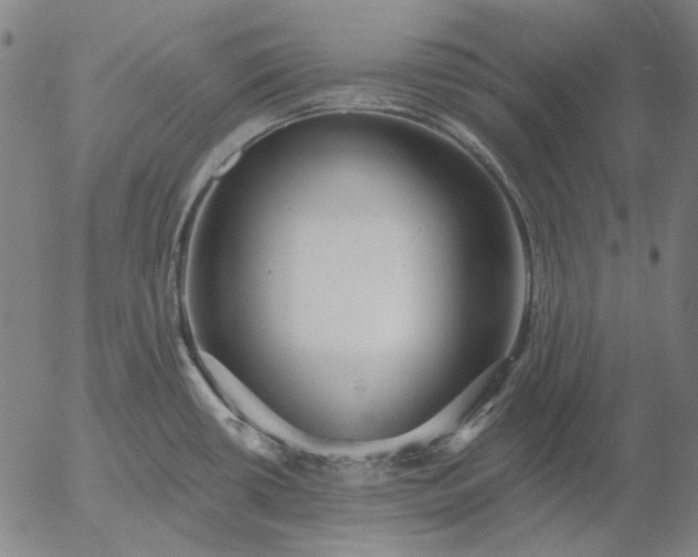 X0000055991434200509021627