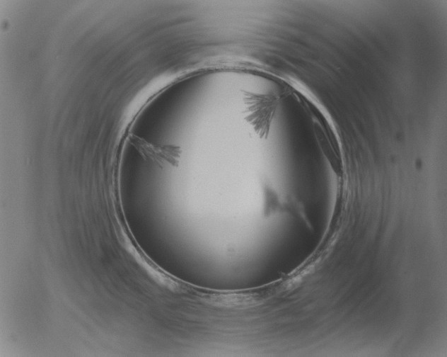 X0000055991437200509021627