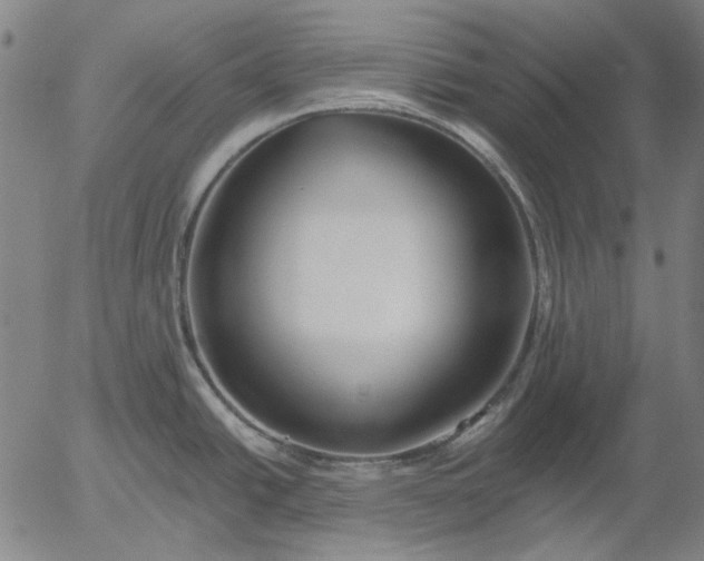 X0000055991438200509021627