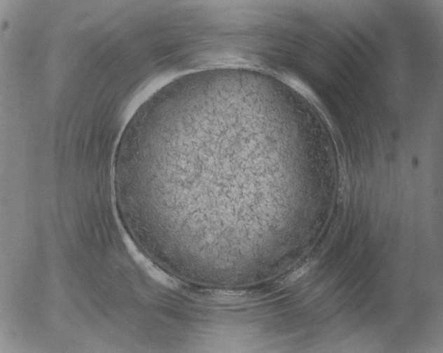 X0000055991439200509021627