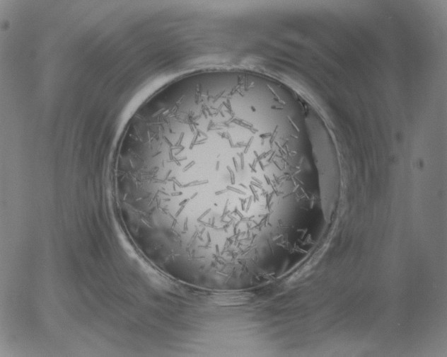 X0000055991440200509021627