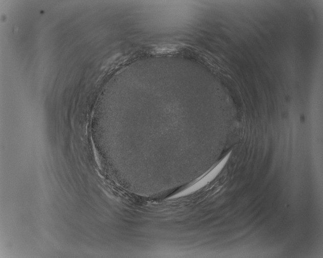 X0000055991441200509021626