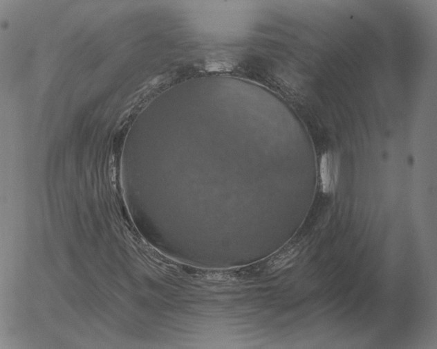 X0000055991443200509021626