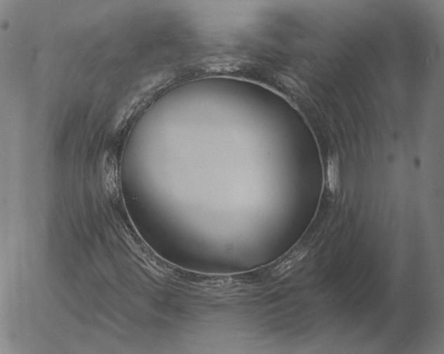 X0000055991444200509021626