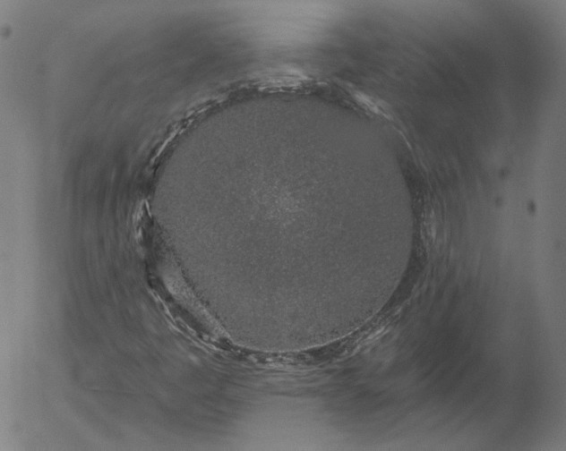 X0000055991445200509021626