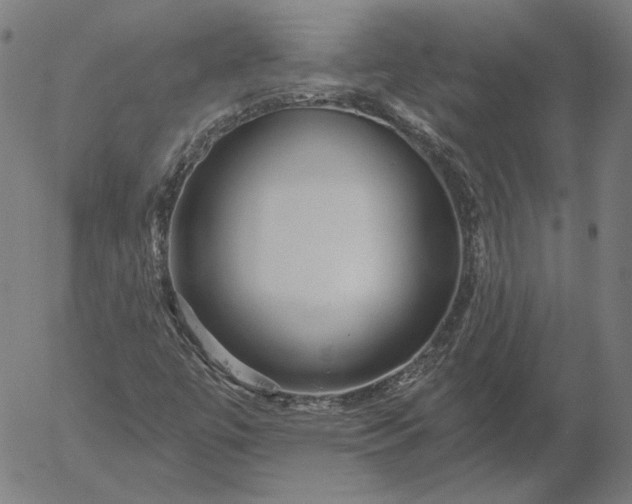 X0000055991447200509021626