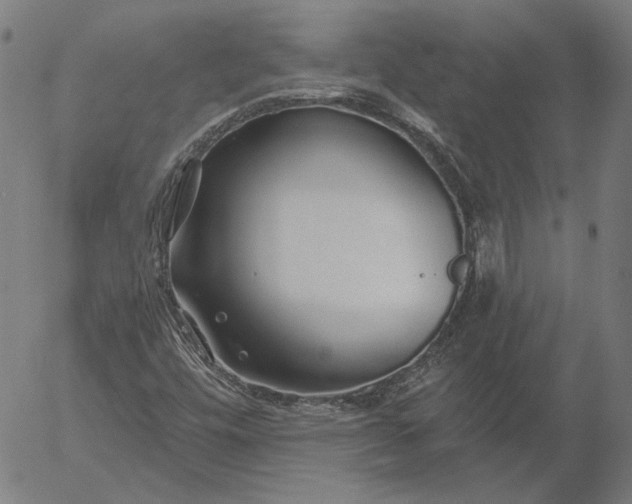 X0000055991448200509021626