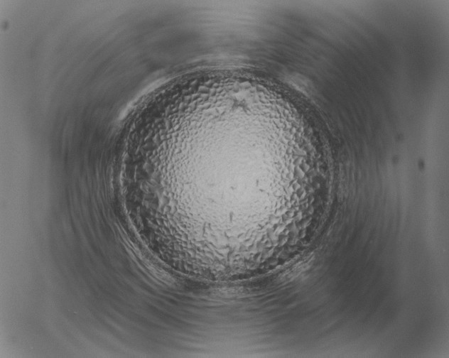 X0000055991451200509021626