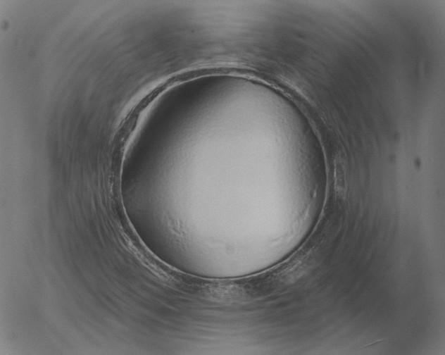 X0000055991452200509021626