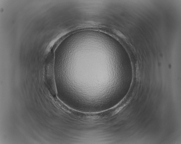 X0000055991453200509021626