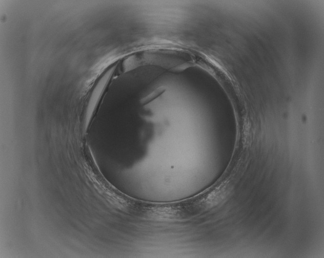 X0000055991455200509021626