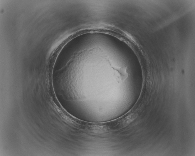 X0000055991456200509021626