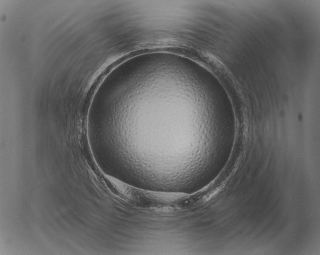 X0000055991457200509021626