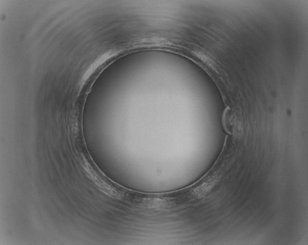 X0000055991458200509021626