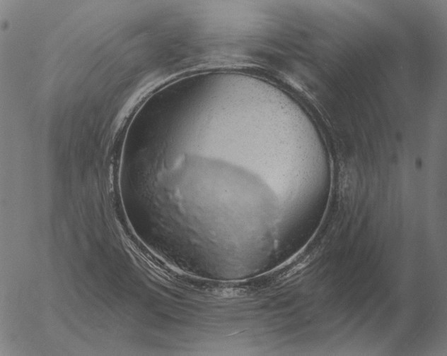 X0000055991459200509021626