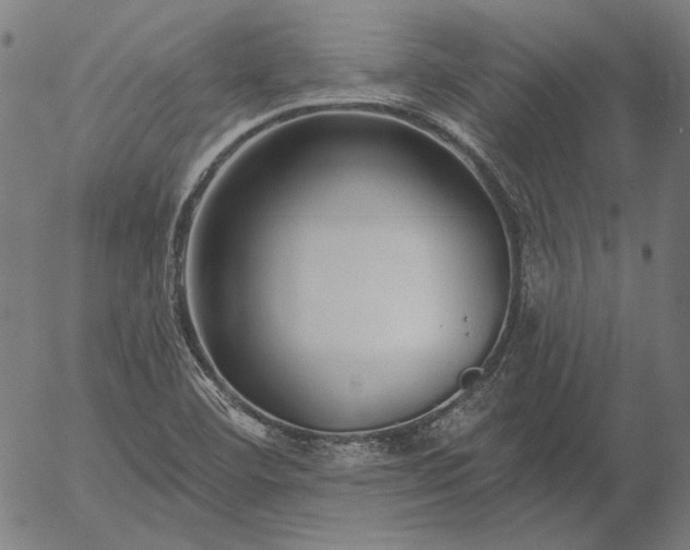 X0000055991460200509021626