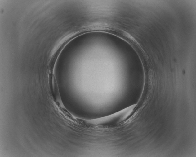 X0000055991461200509021626