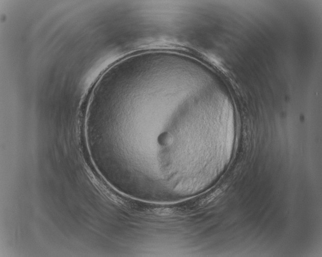 X0000055991463200509021626