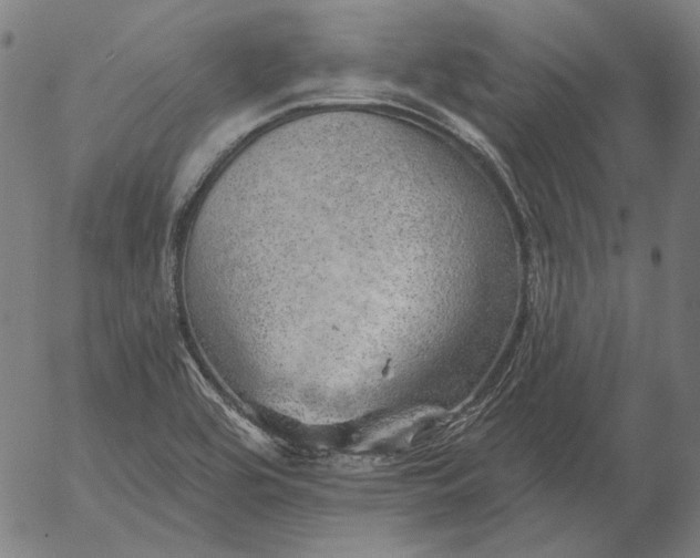 X0000055991464200509021626