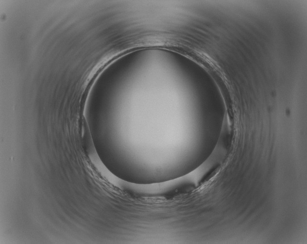 X0000055991465200509021626