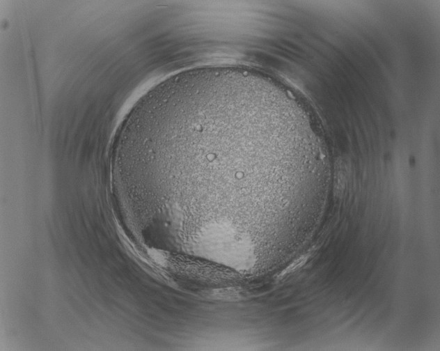 X0000055991467200509021625