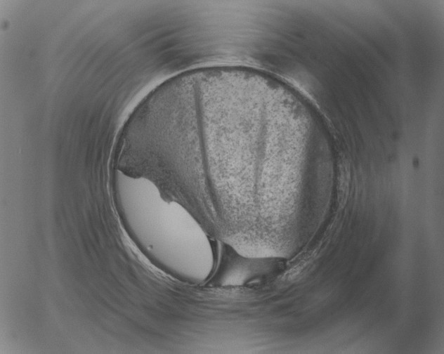 X0000055991468200509021625