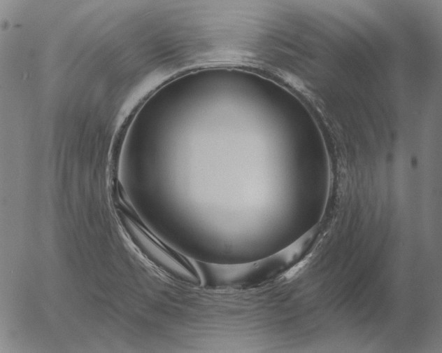 X0000055991469200509021625